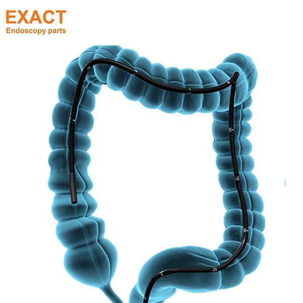 Medical Animation