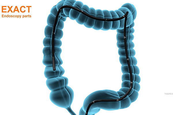 Medical Animation
